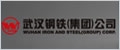 武漢鋼鐵集團(tuán)公司